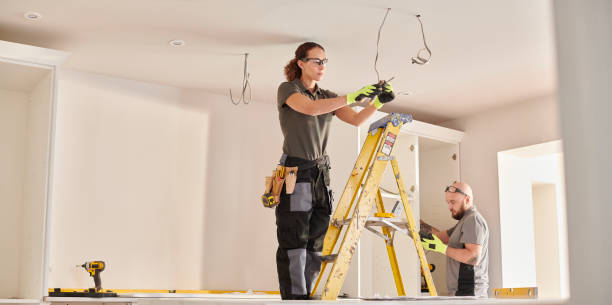 Best Electrical Troubleshooting Services  in Orion, IL